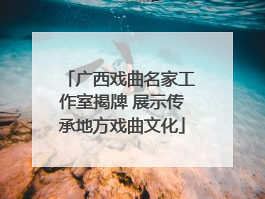 广西戏曲名家工作室揭牌 展示传承地方戏曲文化