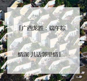 广西龙胜：端午粽情深 共话邻里情