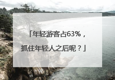 年轻游客占63%，抓住年轻人之后呢？