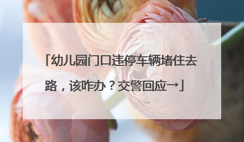 幼儿园门口违停车辆堵住去路，该咋办？交警回应→