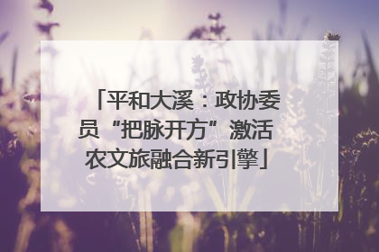 平和大溪：政协委员“把脉开方”激活农文旅融合新引擎