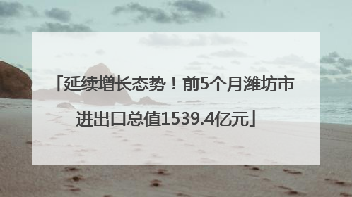 延续增长态势！前5个月潍坊市进出口总值1539.4亿元