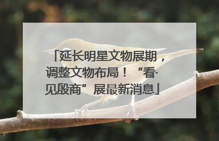 延长明星文物展期，调整文物布局！“看·见殷商”展最新消息