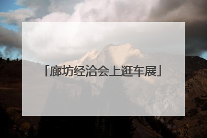 廊坊经洽会上逛车展