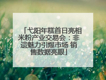 弋阳年糕首日亮相米粉产业交易会：非遗魅力引爆市场 销售数据亮眼