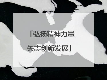 弘扬精神力量 矢志创新发展