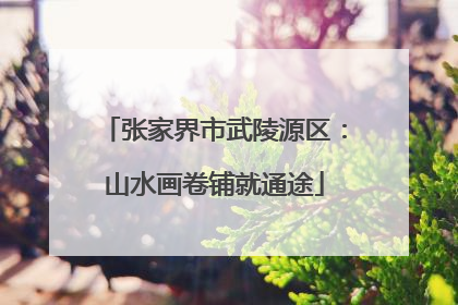 张家界市武陵源区：山水画卷铺就通途