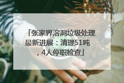 张家界溶洞垃圾处理最新进展：清理51吨，4人停职检查