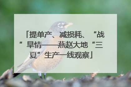提单产、减损耗、“战”旱情——燕赵大地“三夏”生产一线观察