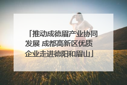 推动成德眉产业协同发展 成都高新区优质企业走进德阳和眉山