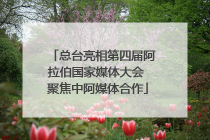 总台亮相第四届阿拉伯国家媒体大会 聚焦中阿媒体合作