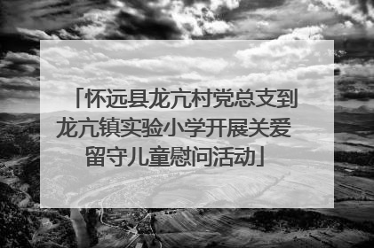 怀远县龙亢村党总支到龙亢镇实验小学开展关爱留守儿童慰问活动