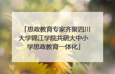 思政教育专家齐聚四川大学锦江学院共研大中小学思政教育一体化