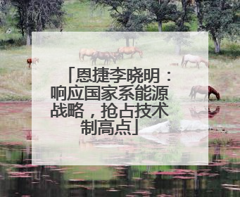 恩捷李晓明：响应国家系能源战略，抢占技术制高点