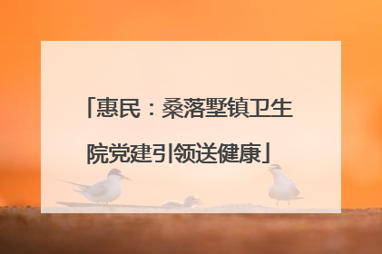 惠民：桑落墅镇卫生院党建引领送健康