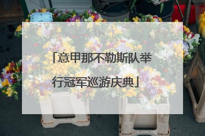 意甲那不勒斯队举行冠军巡游庆典