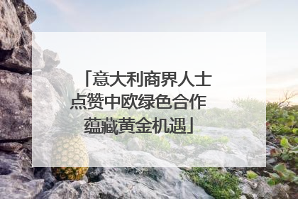 意大利商界人士点赞中欧绿色合作蕴藏黄金机遇