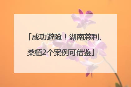 成功避险！湖南慈利、桑植2个案例可借鉴
