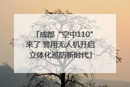成都“空中110”来了 警用无人机开启立体化巡防新时代