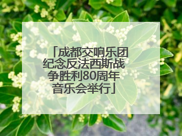成都交响乐团纪念反法西斯战争胜利80周年音乐会举行