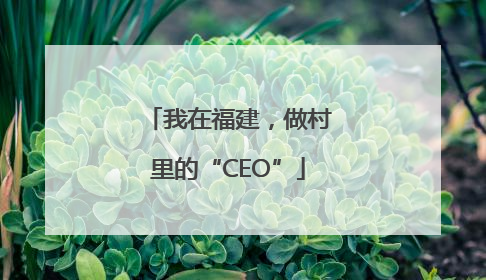 我在福建，做村里的“CEO”