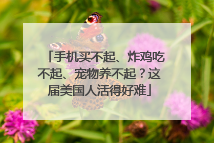 手机买不起、炸鸡吃不起、宠物养不起？这届美国人活得好难