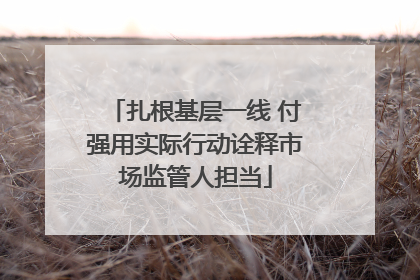 扎根基层一线 付强用实际行动诠释市场监管人担当
