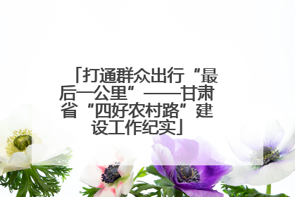 打通群众出行“最后一公里”——甘肃省“四好农村路”建设工作纪实
