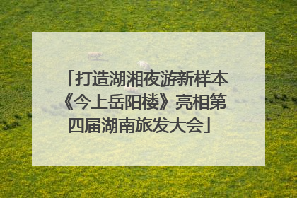 打造湖湘夜游新样本《今上岳阳楼》亮相第四届湖南旅发大会