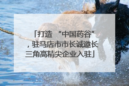 打造 “中国药谷”，驻马店市市长诚邀长三角高精尖企业入驻