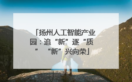 扬州人工智能产业园：追“新”逐“质” “新”兴向荣