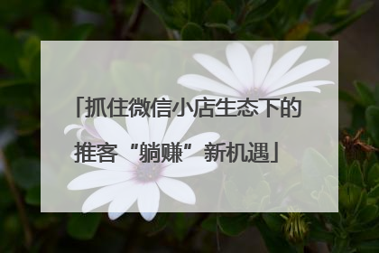 抓住微信小店生态下的推客“躺赚”新机遇