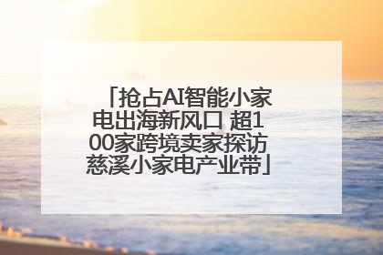 抢占AI智能小家电出海新风口 超100家跨境卖家探访慈溪小家电产业带