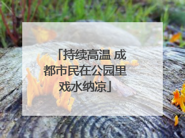 持续高温 成都市民在公园里戏水纳凉