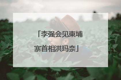 李强会见柬埔寨首相洪玛奈