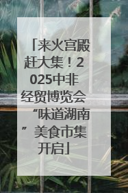 来火宫殿赶大集！2025中非经贸博览会“味道湖南”美食市集开启