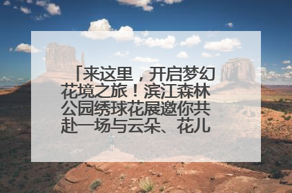 来这里，开启梦幻花境之旅！滨江森林公园绣球花展邀你共赴一场与云朵、花儿的浪漫之约