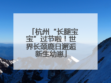 杭州“长腿宝宝”过节啦！世界长颈鹿日邂逅新生幼崽
