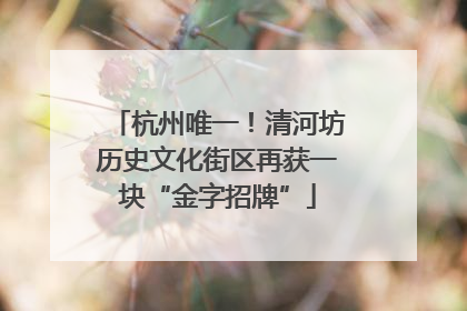 杭州唯一！清河坊历史文化街区再获一块“金字招牌”