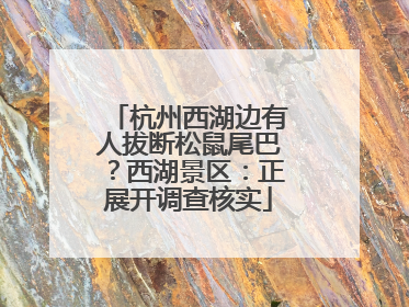 杭州西湖边有人拔断松鼠尾巴？西湖景区：正展开调查核实