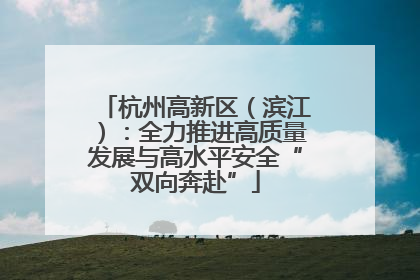 杭州高新区（滨江）：全力推进高质量发展与高水平安全“双向奔赴”