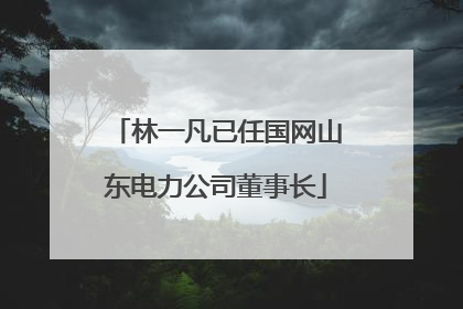 林一凡已任国网山东电力公司董事长