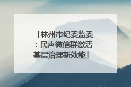 林州市纪委监委：民声微信群激活基层治理新效能