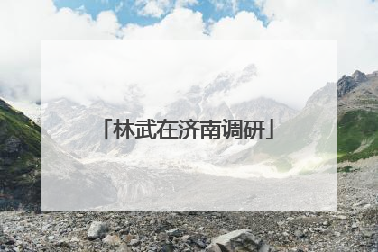 林武在济南调研