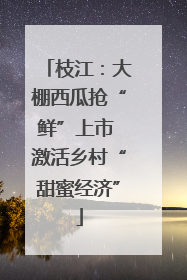 枝江：大棚西瓜抢“鲜”上市 激活乡村“甜蜜经济”