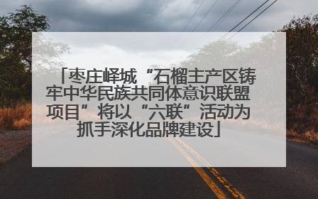 枣庄峄城“石榴主产区铸牢中华民族共同体意识联盟项目”将以“六联”活动为抓手深化品牌建设