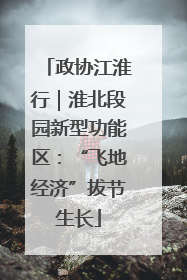 政协江淮行｜淮北段园新型功能区：“飞地经济”拔节生长