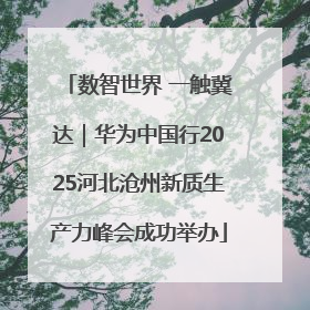 数智世界 一触冀达｜华为中国行2025河北沧州新质生产力峰会成功举办