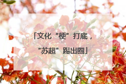 文化“梗”打底，“苏超”踢出圈