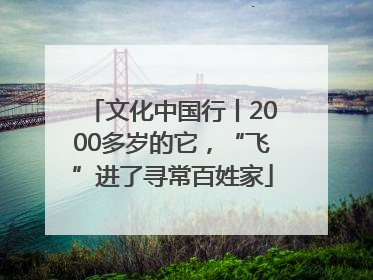 文化中国行丨2000多岁的它，“飞”进了寻常百姓家